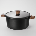 Fenn non-stick pot with glass lid and wood handles, studio view